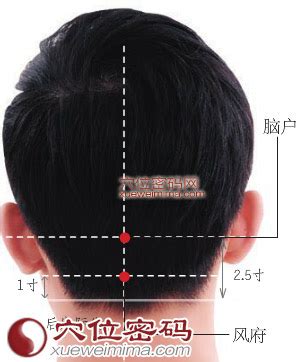 腦門穴|腦戶穴可改善頭暈,眩暈失眠,項強,口不能言